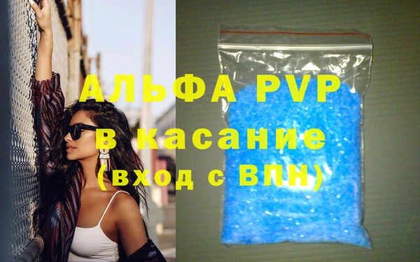 ECSTASY Кукмор