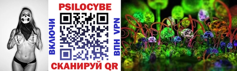 купить наркотик  Темников  KRAKEN рабочий сайт  Галлюциногенные грибы Psilocybine cubensis 